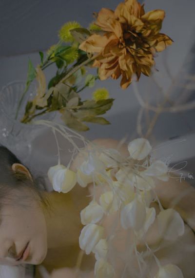 成全在线观看免费完整版动漫_青苹果乐园免费高清观看